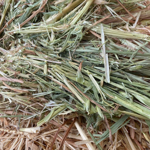 Oaten Hay