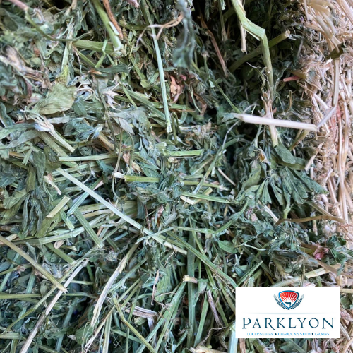 Lucerne - Bale Baron pack of 21